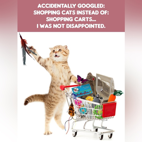 NO Rebundling live show listing READ BEFORE PURCHASE - Picture 4 of 4